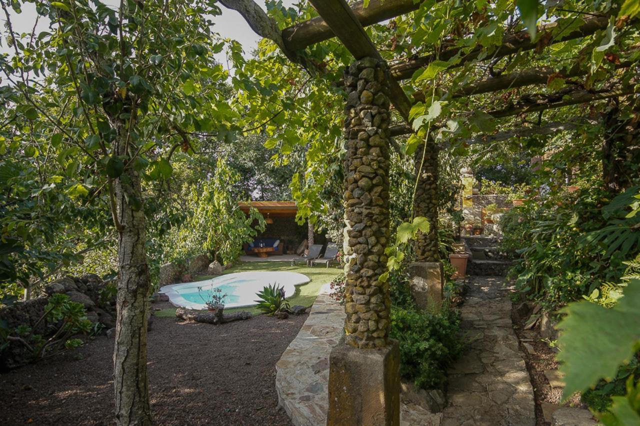 Villa Los Matos Pool And Garden Valleseco מראה חיצוני תמונה