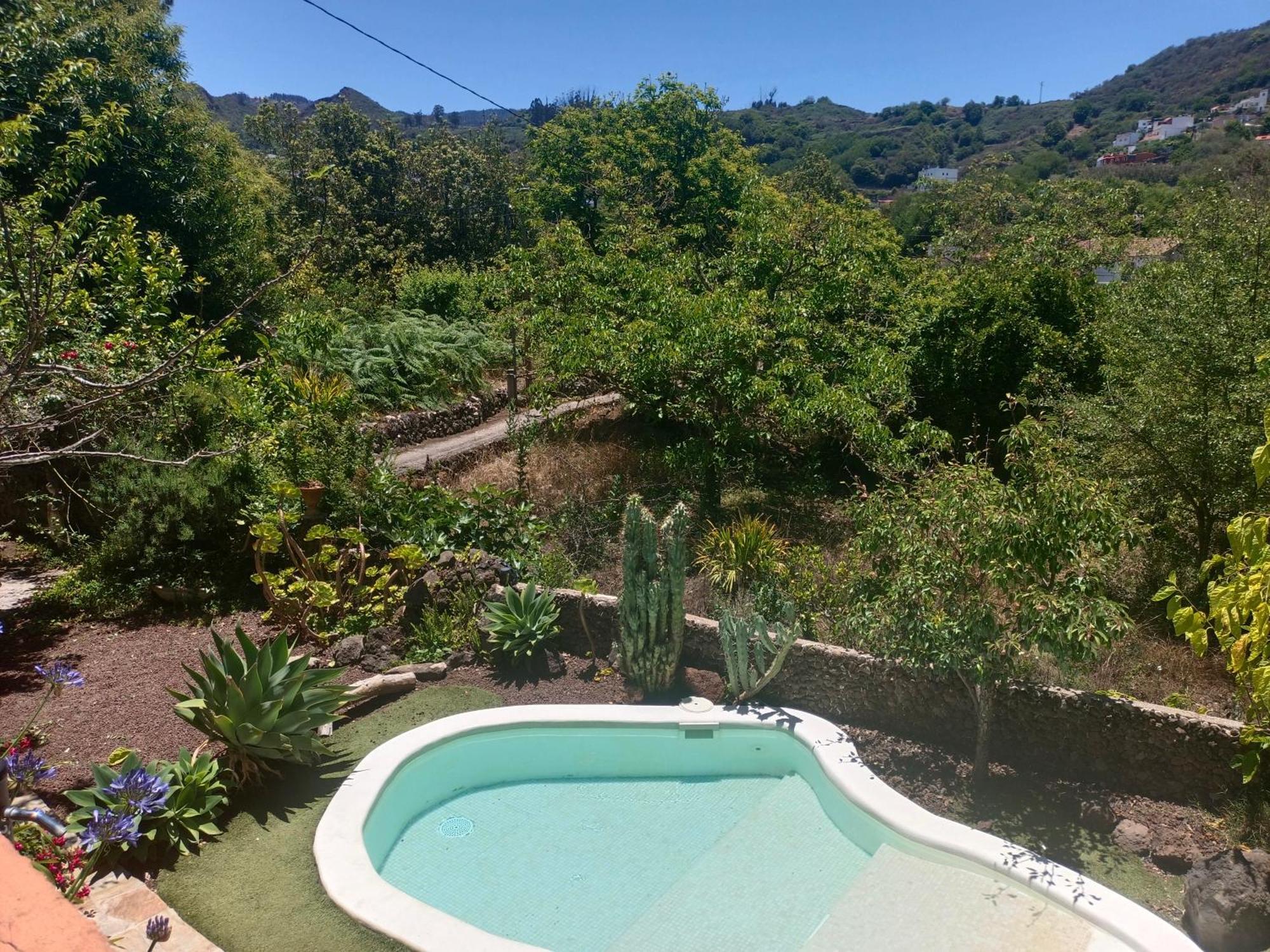Villa Los Matos Pool And Garden Valleseco מראה חיצוני תמונה